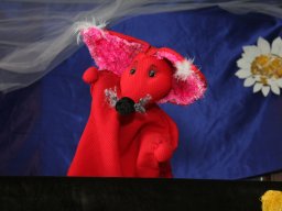 Rebasepois-võrukael