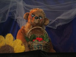 Performances &raquo; Cly Fox Cub